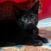 Tippy photo 3