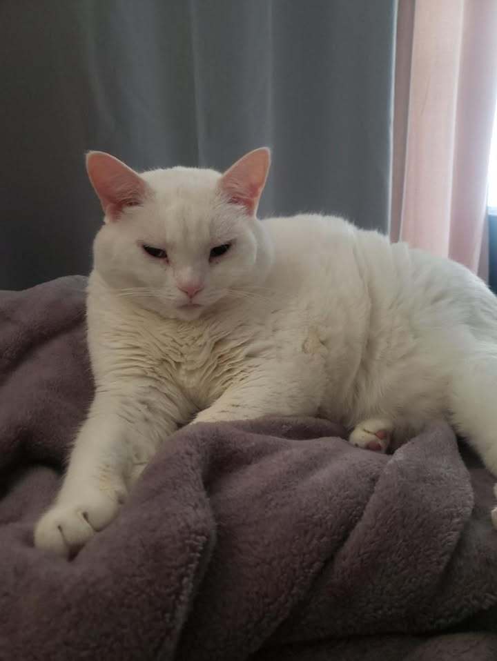 Frankie (Francesca)