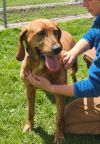 Wilma photo 2