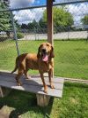 Wilma photo 3