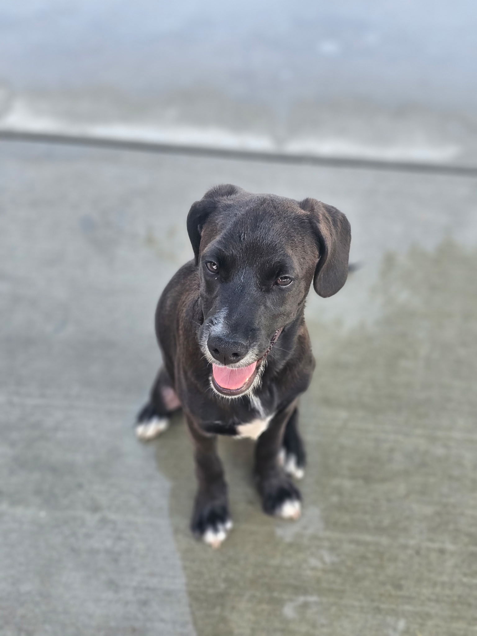 Max