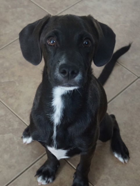 Max