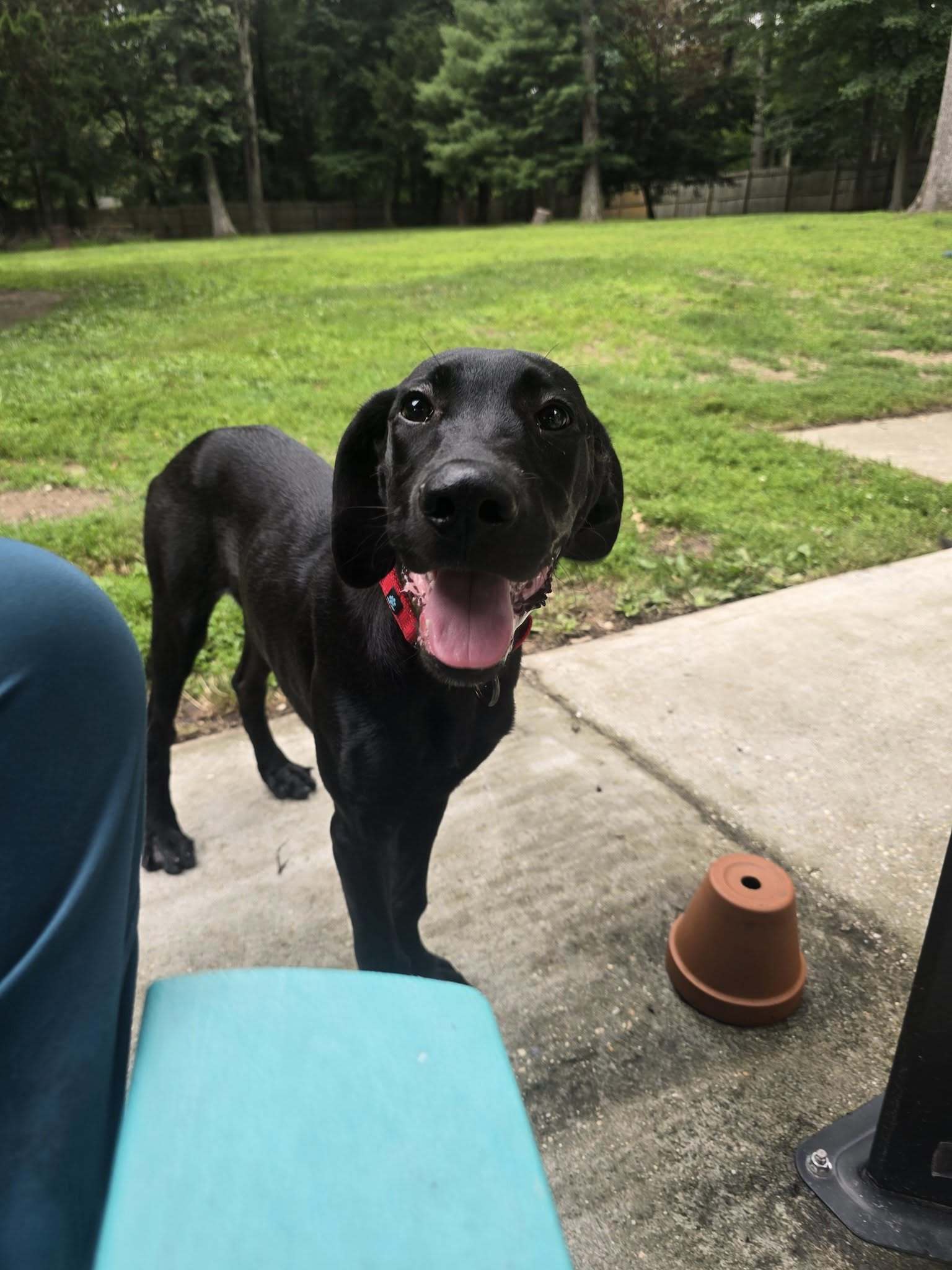 JAX