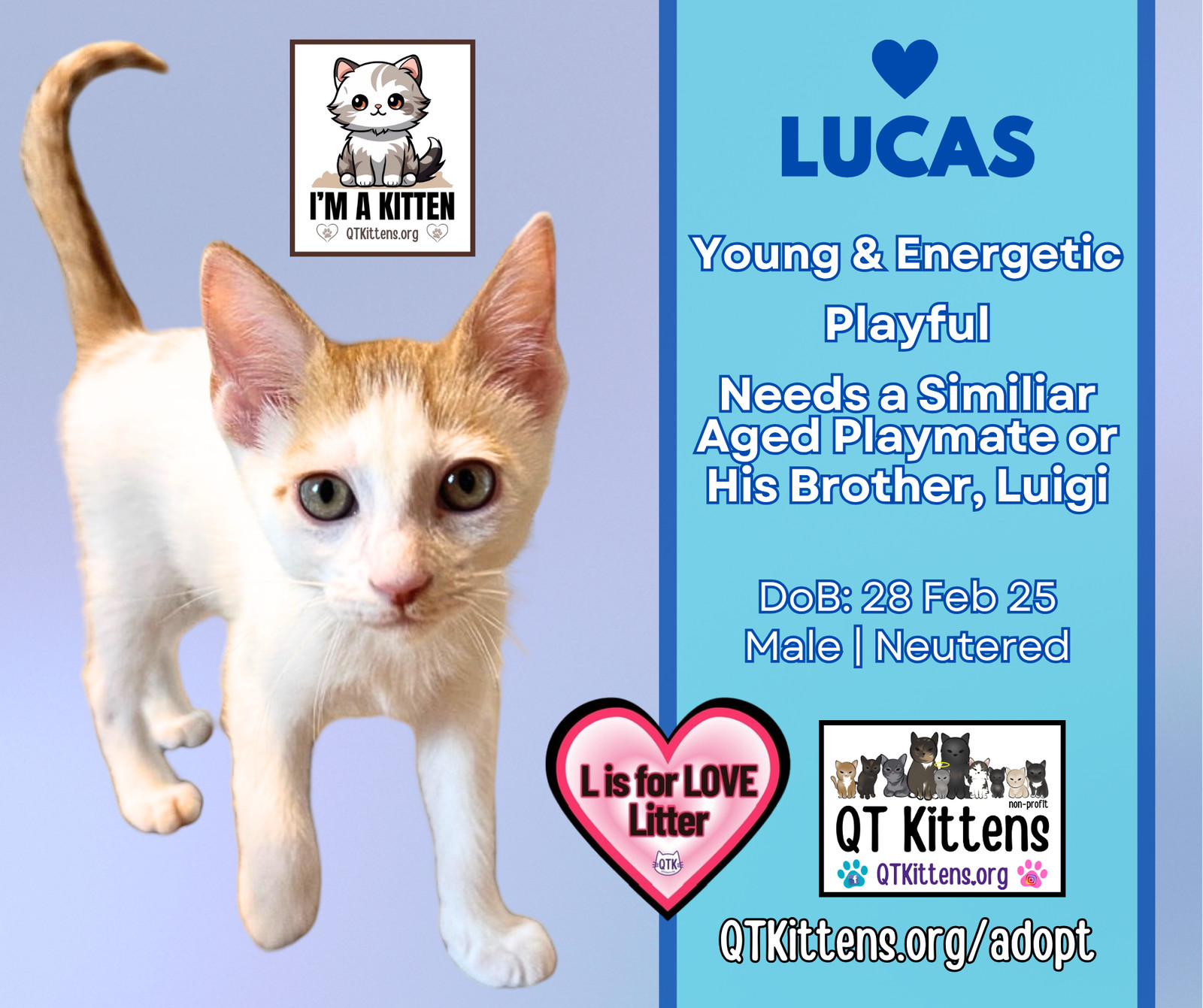 Lucas