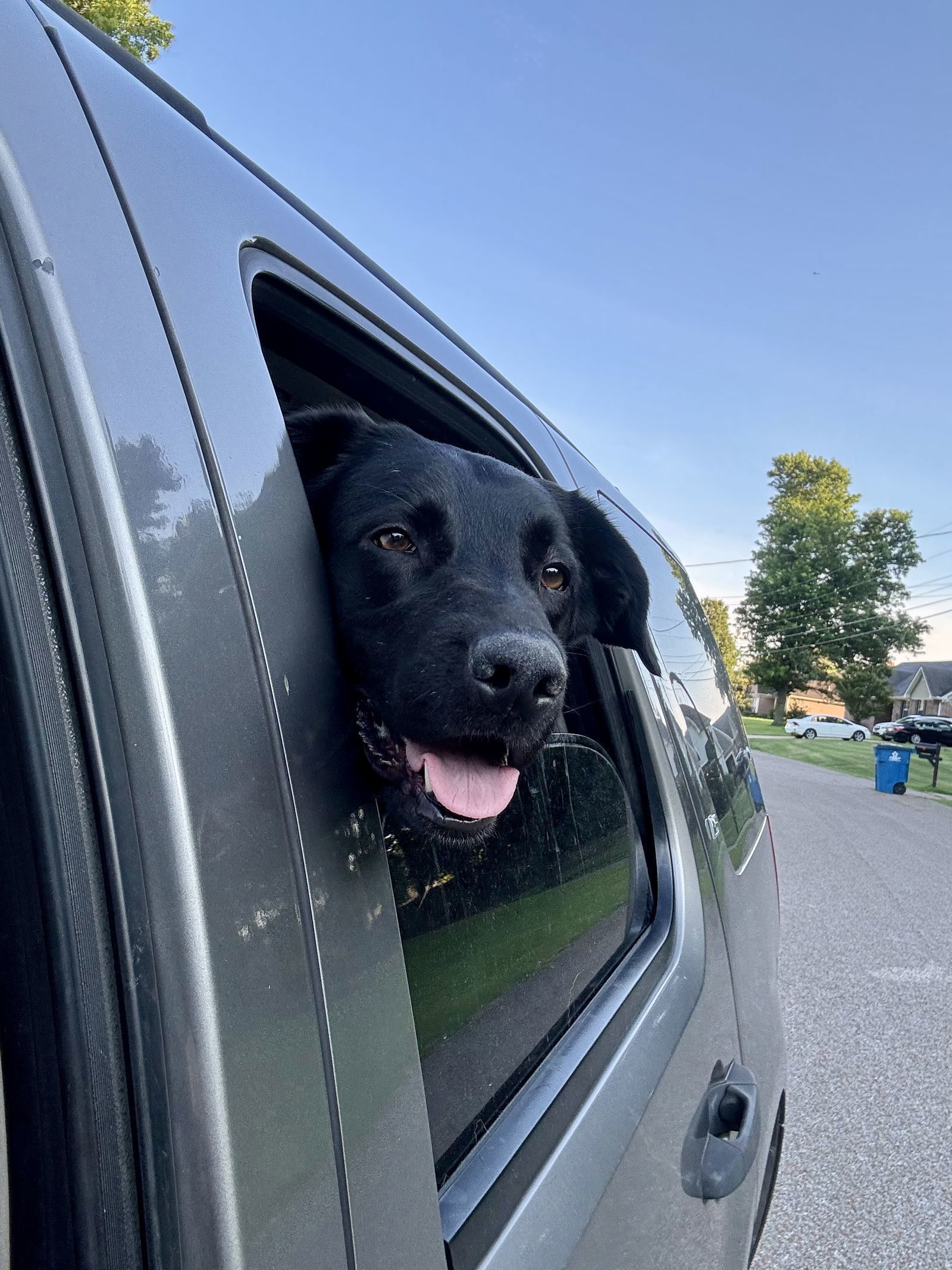 MAXIMUS