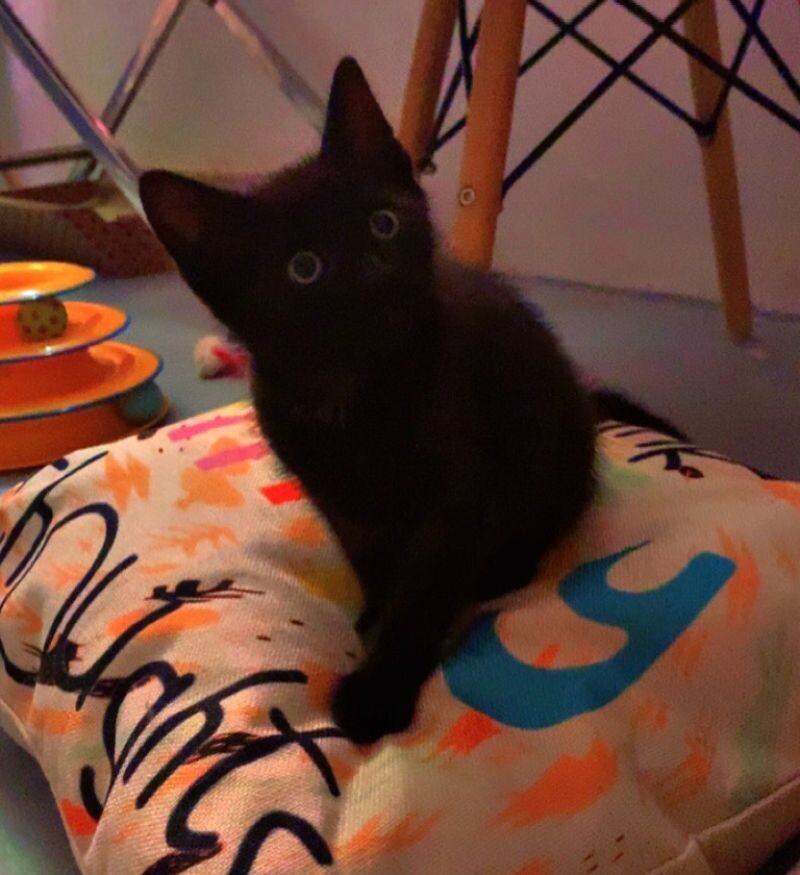 Rocky