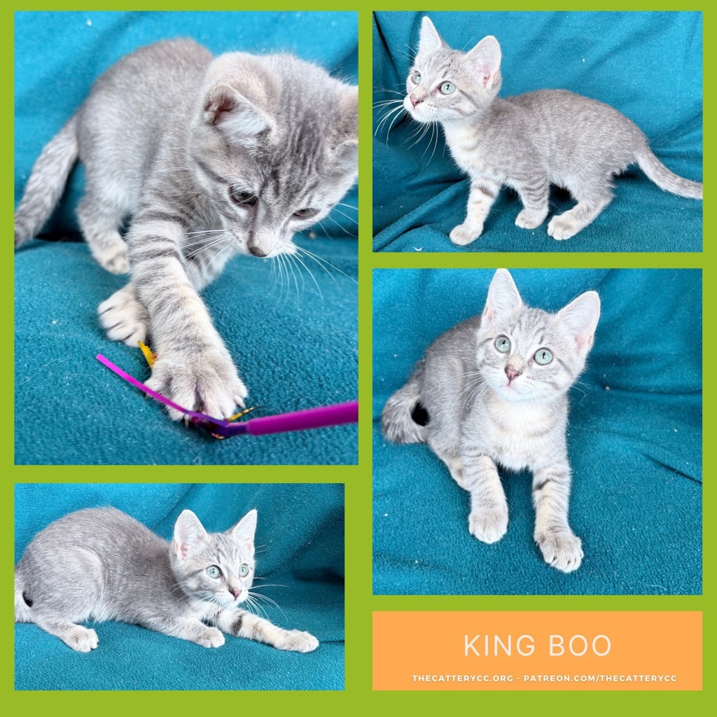 King Boo