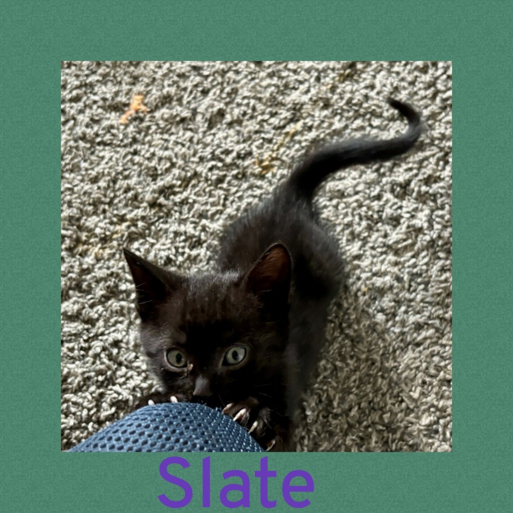 Slate