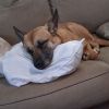 Bones (oakley) photo 2