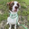 Buster photo 5