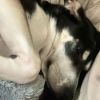Coco Beans photo 3