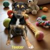 Teeter photo 3