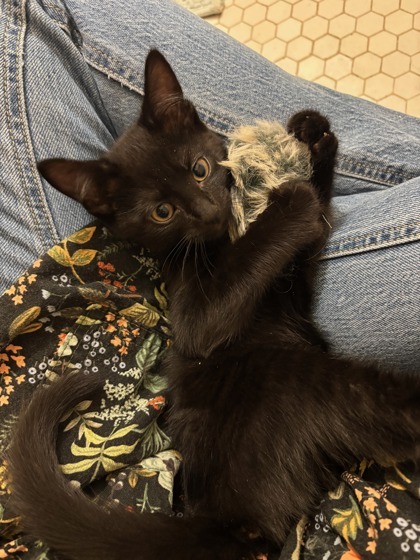 Sam