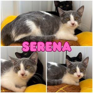 Serena, Baby Female unknown
