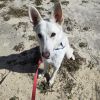 Bridget photo 3