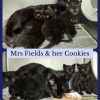 Mrs. Fields photo 2
