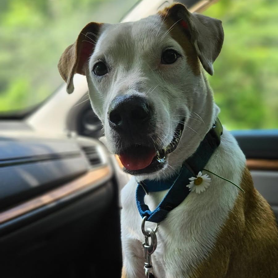 Phineas
