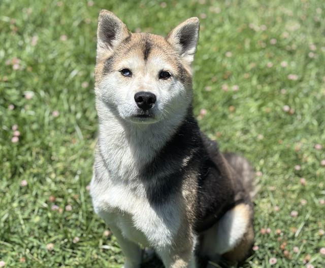 OSO