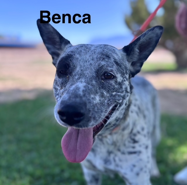 BENCA