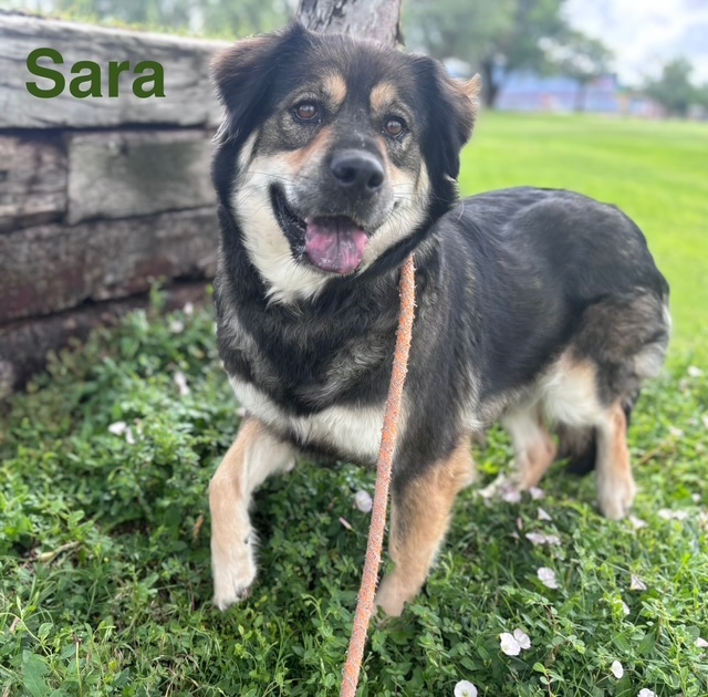 SARA
