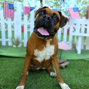 I WAS FOUND AT 6300 BLK MYRTLE AVE LONG BEACH CA 90805 IN LONG BEACHMy adoptio