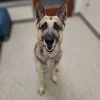Knox photo 1