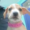 Naty