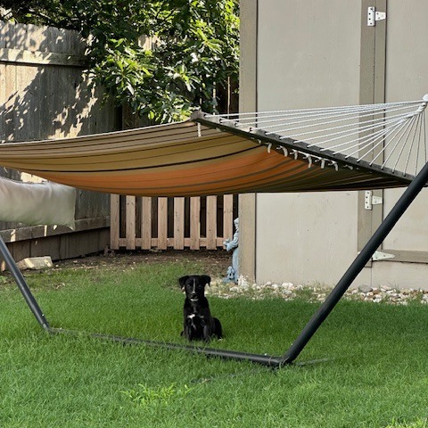 Ocean Breeze 4