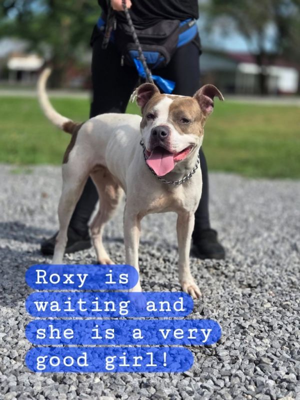 Roxy