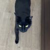 Nina photo 3