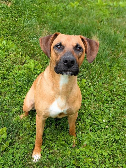 RUGER