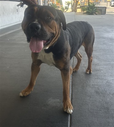 COOPER