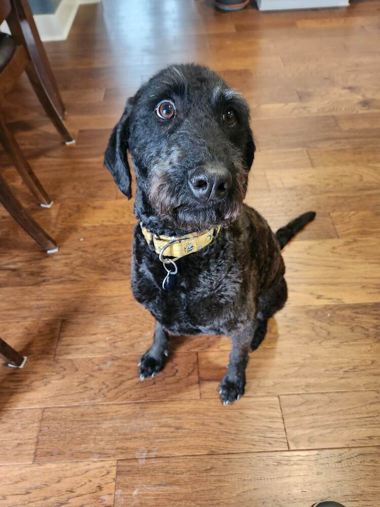 Lucy