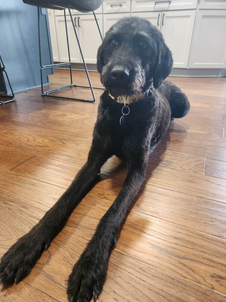 Lucy