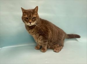Tinkerbell, Senior Female unknown