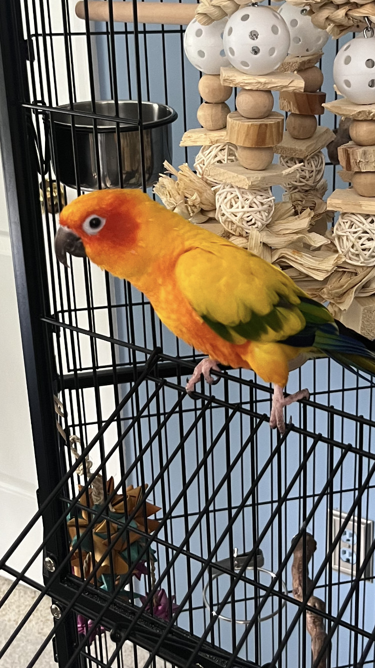 Milo