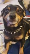 Bubba photo 2