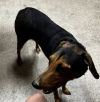 Princess Nellie photo 2