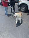 Maverick photo 3