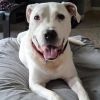Bronson photo 1
