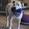 Bronson photo 2
