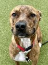 Stitch photo 1