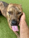Stitch photo 2