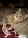Frankie photo 3