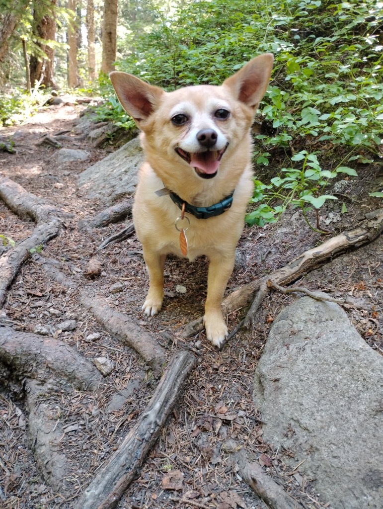 Senor Buster