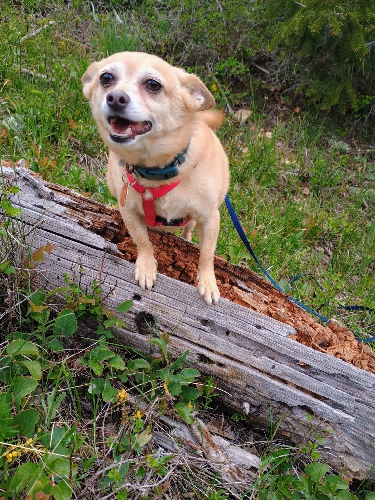Senor Buster