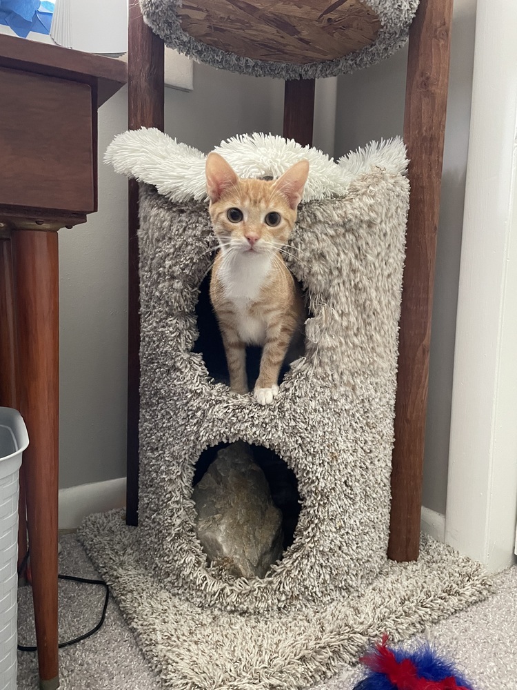 Pumpkin &amp; Spice