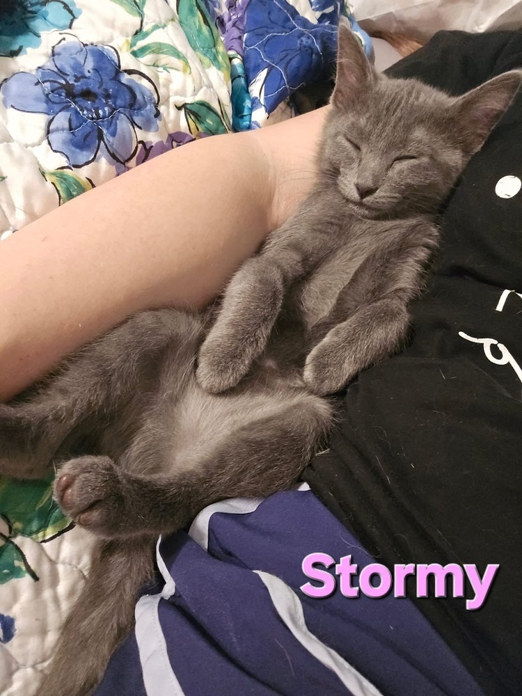 Stormy
