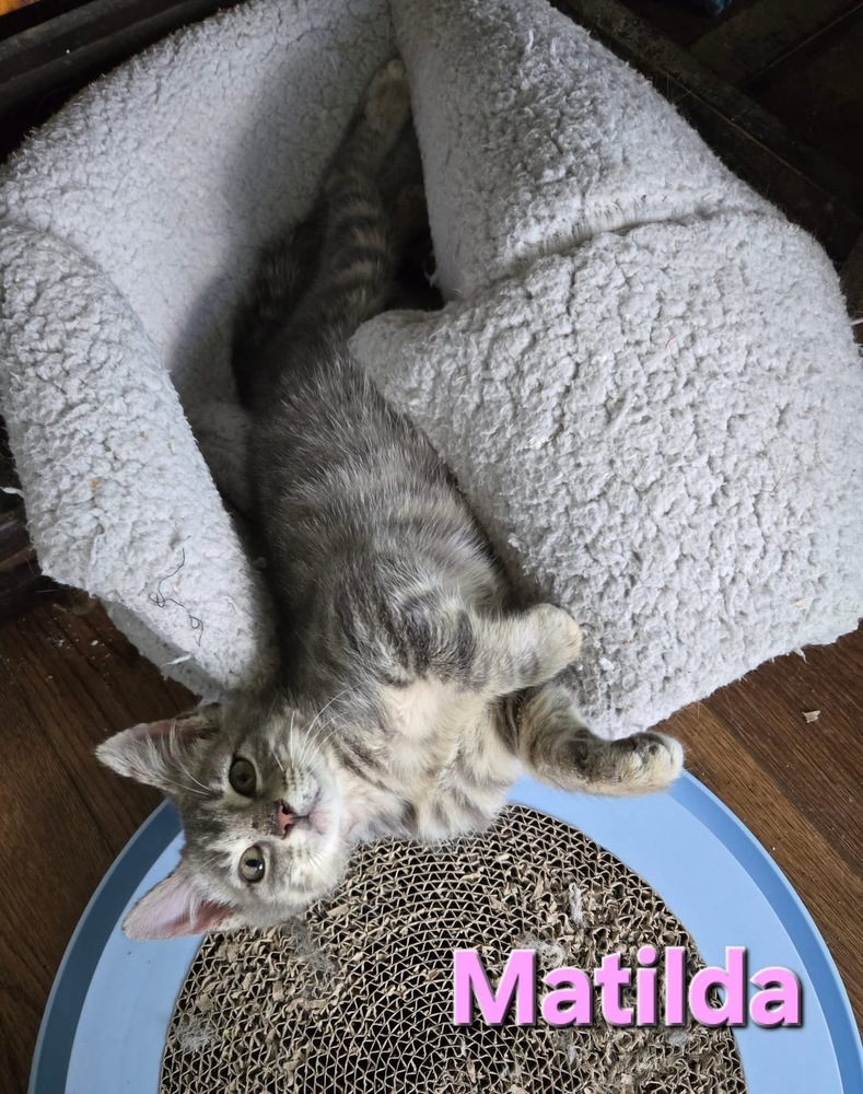 Matilda
