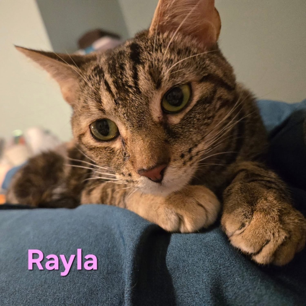 Rayla